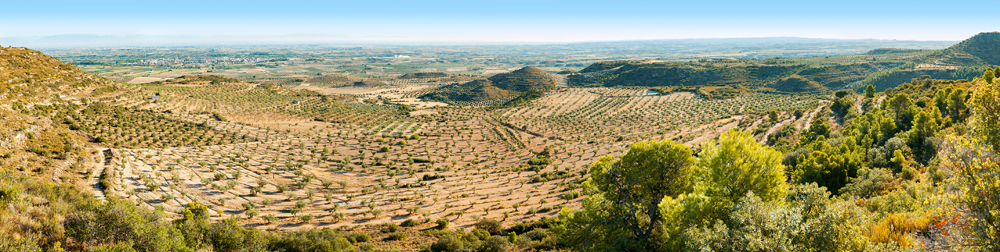  Espai d'Interés Natural els Bessons