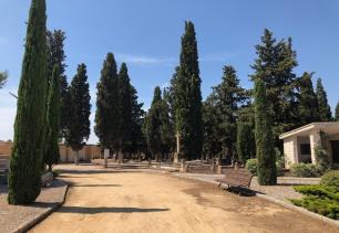 Les Borges aplicarà un tractament fitosanitari als arbres de gran magnitud per evitar-ne l’assecada