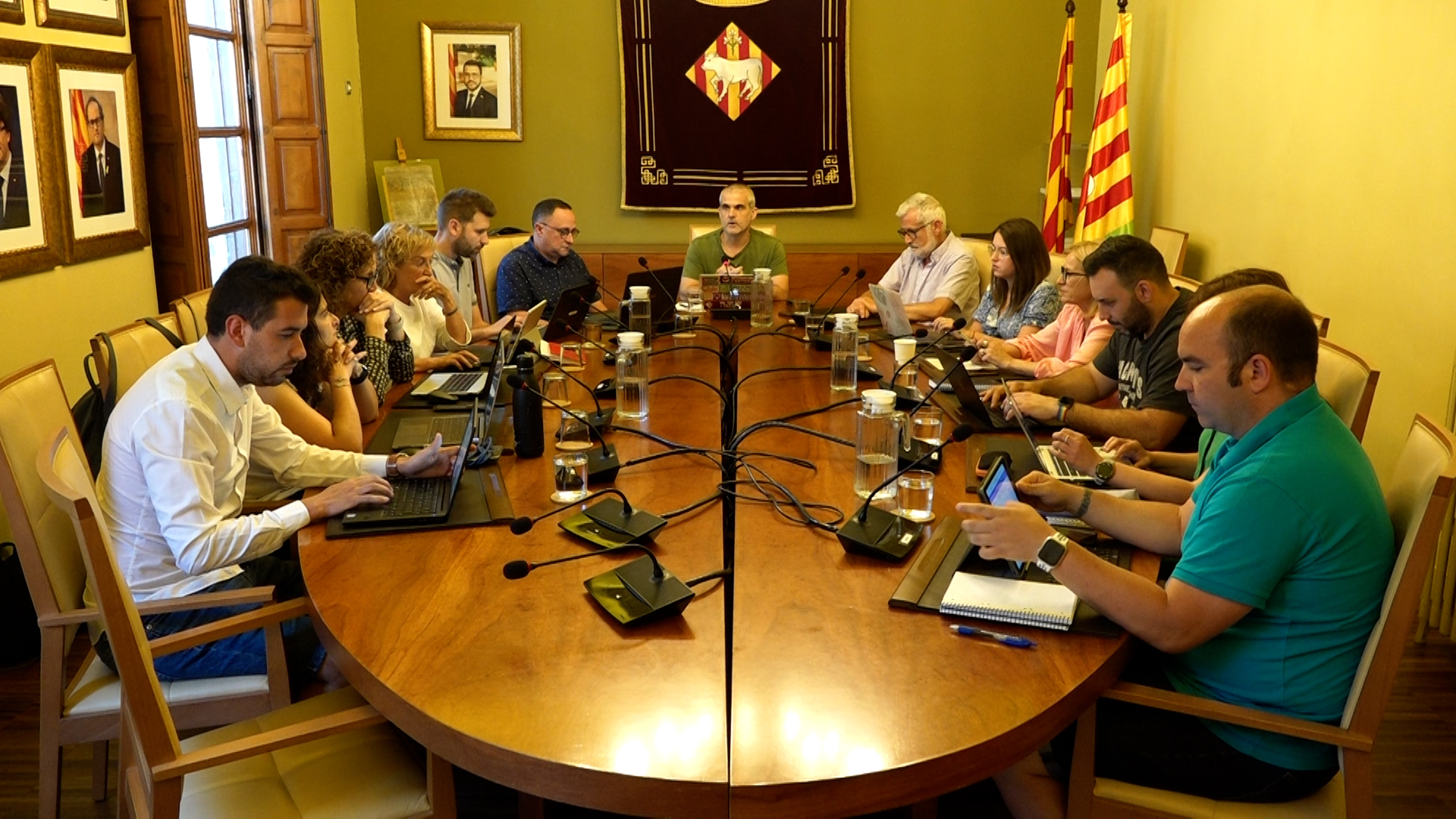 Ple Ordinari
