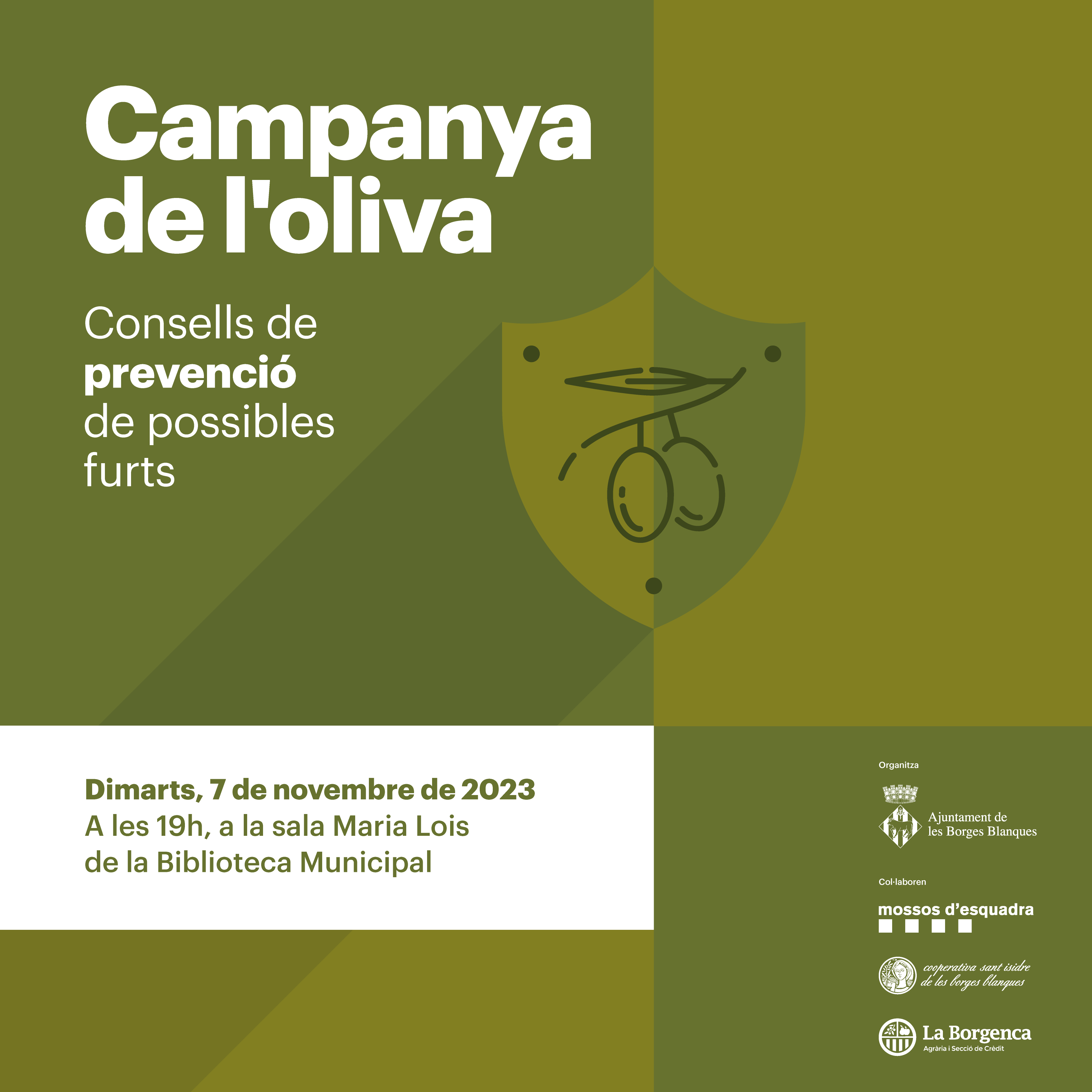 Campanya de l'Oliva